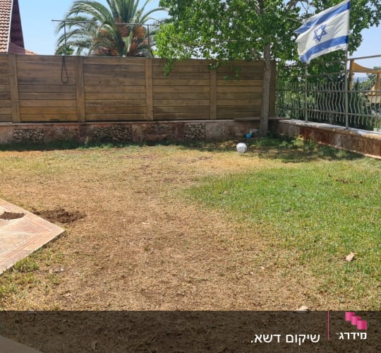 דשא ירוק עם אזורים יבשים, צינור השקיה על הקרקע